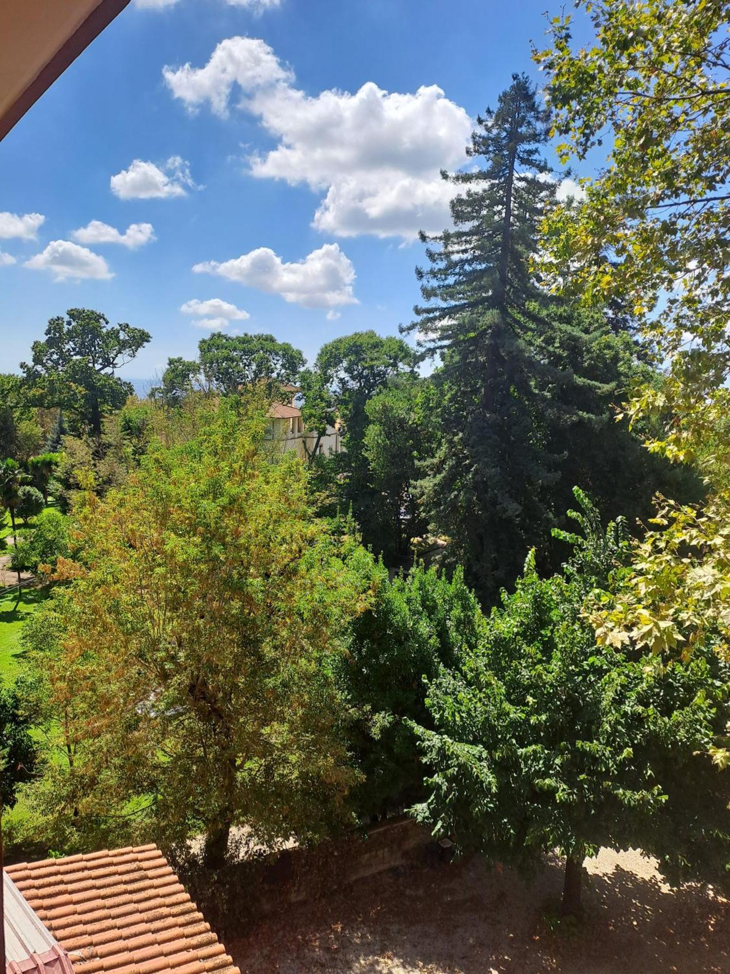 Hotel Villa Robinia Дженцано ди Рома Екстериор снимка